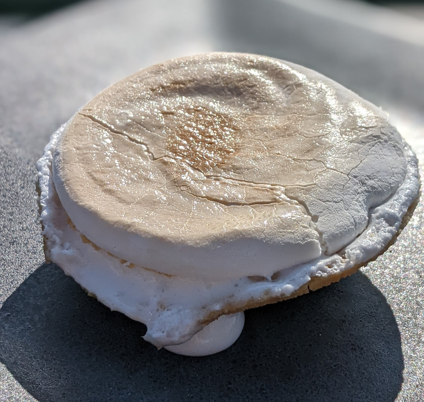 S’mores Pie